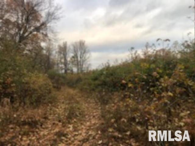 146 South Road Road Cave In Rock, IL 62919 - Photo 2 of 7