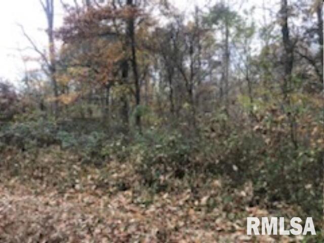 146 South Road Road Cave In Rock, IL 62919 - Photo 3 of 7