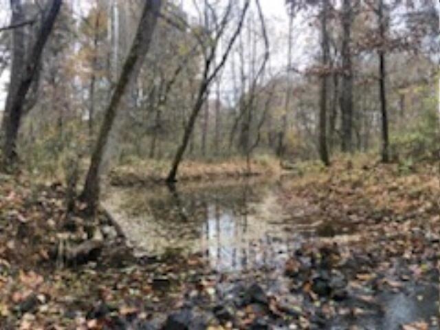 146 South Road Road Cave In Rock, IL 62919 - Photo 4 of 7