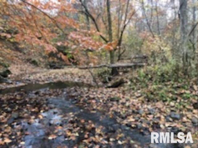 146 South Road Road Cave In Rock, IL 62919 - Photo 5 of 7