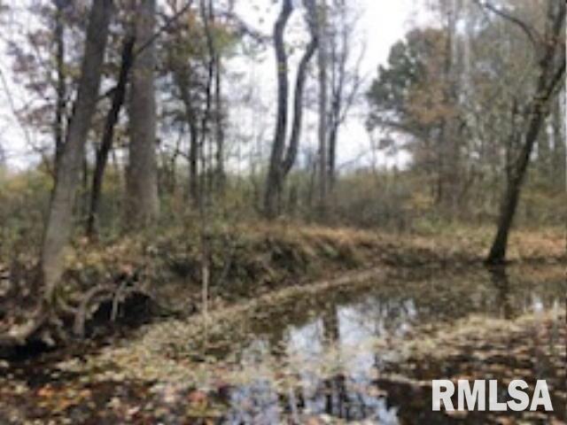 146 South Road Road Cave In Rock, IL 62919 - Photo 6 of 7