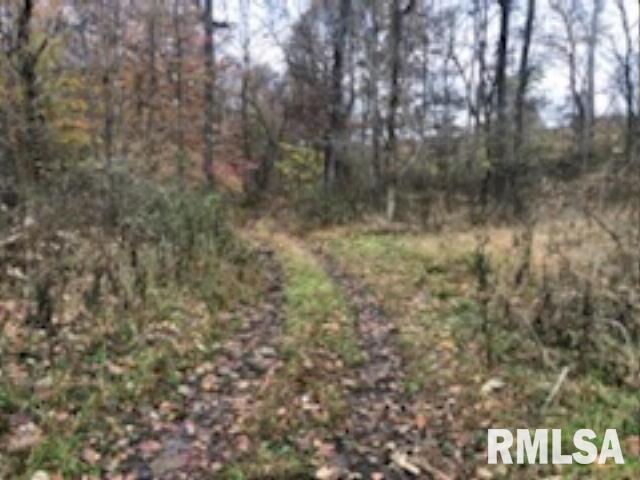 146 South Road Road Cave In Rock, IL 62919 - Photo 7 of 7