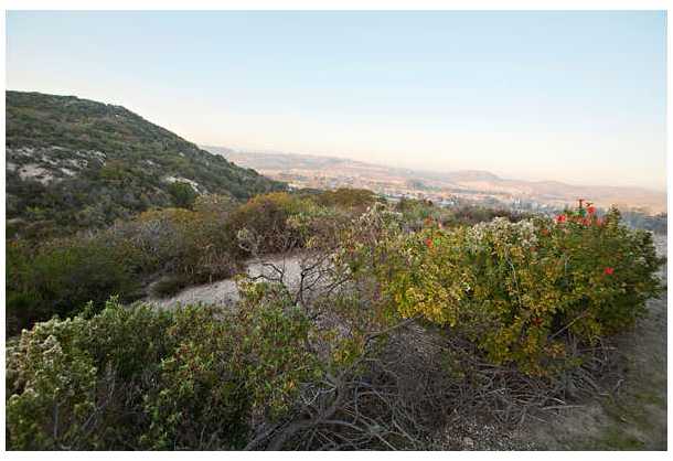 2214 Masters Road Carlsbad, CA 92008 - Photo 7 of 25 Gallery Image 7