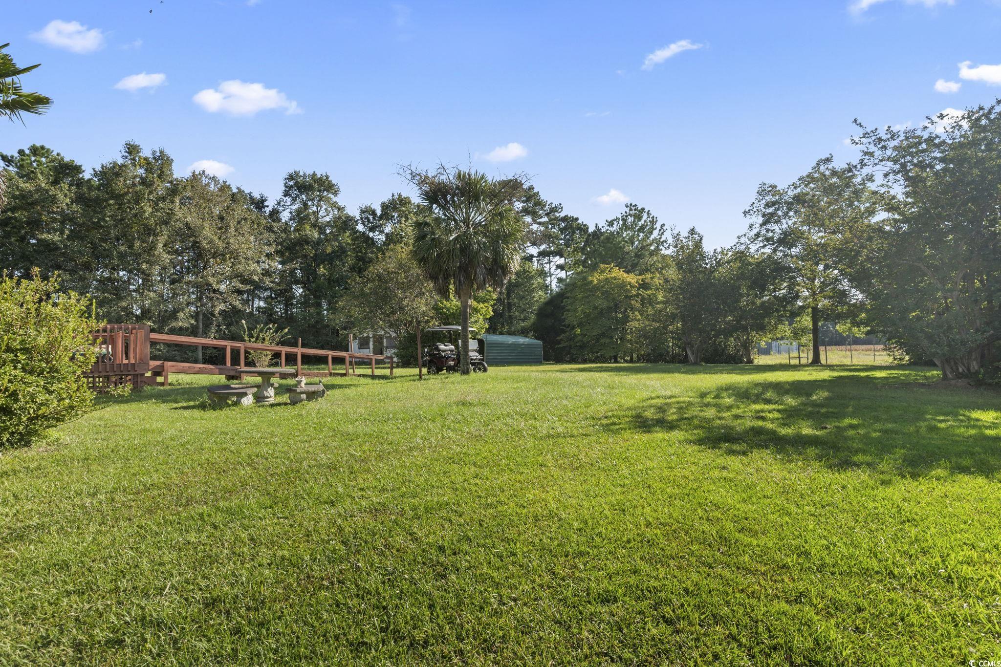 6971 Alfred Road Aynor, SC 29511 - Photo 29 of 37 View of grassy yard featuring view of scattered trees