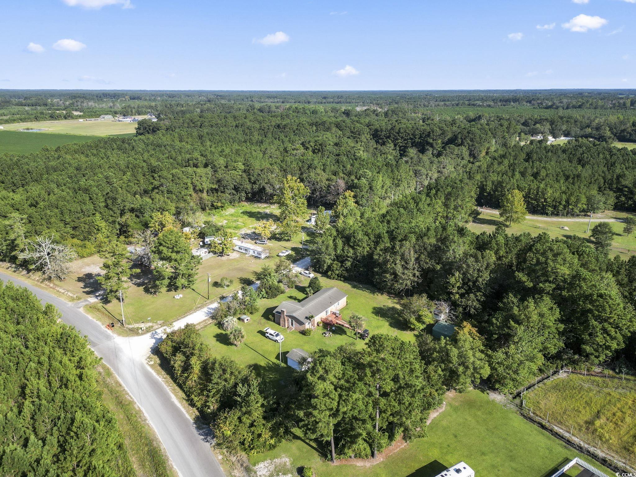 6971 Alfred Road Aynor, SC 29511 - Photo 5 of 37 View of property location featuring a forest