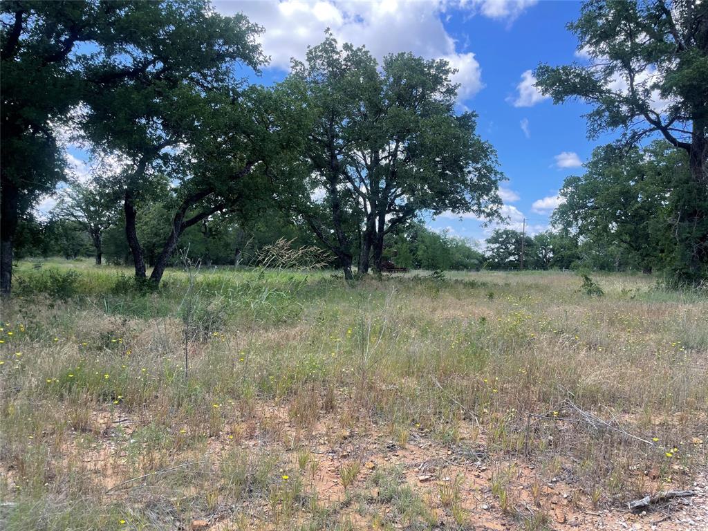 0 Lower Tonk Valley Road Graham, TX 76450 - Photo 28 of 35