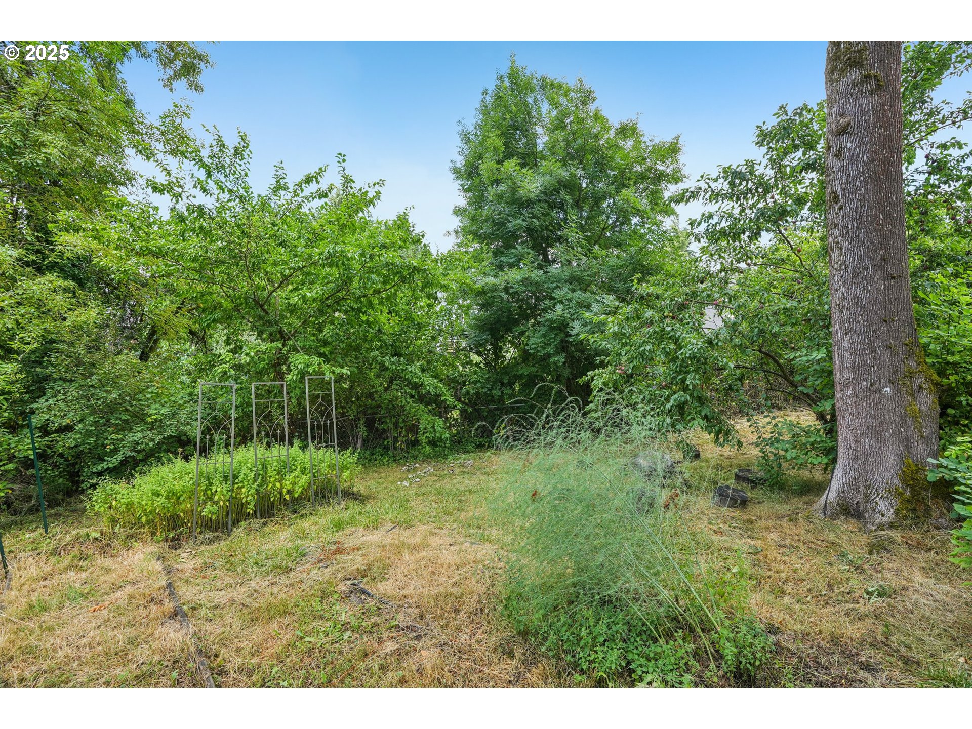 9281 Southwest Boones Ferry Road Portland, OR 97219 - Photo 24 of 27 a view of a yard