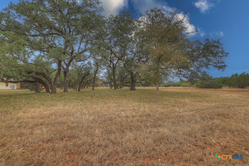 27215 Park Loop Road New Braunfels, TX 78132 - Photo 22 of 32 a view of outdoor space with deck and yard