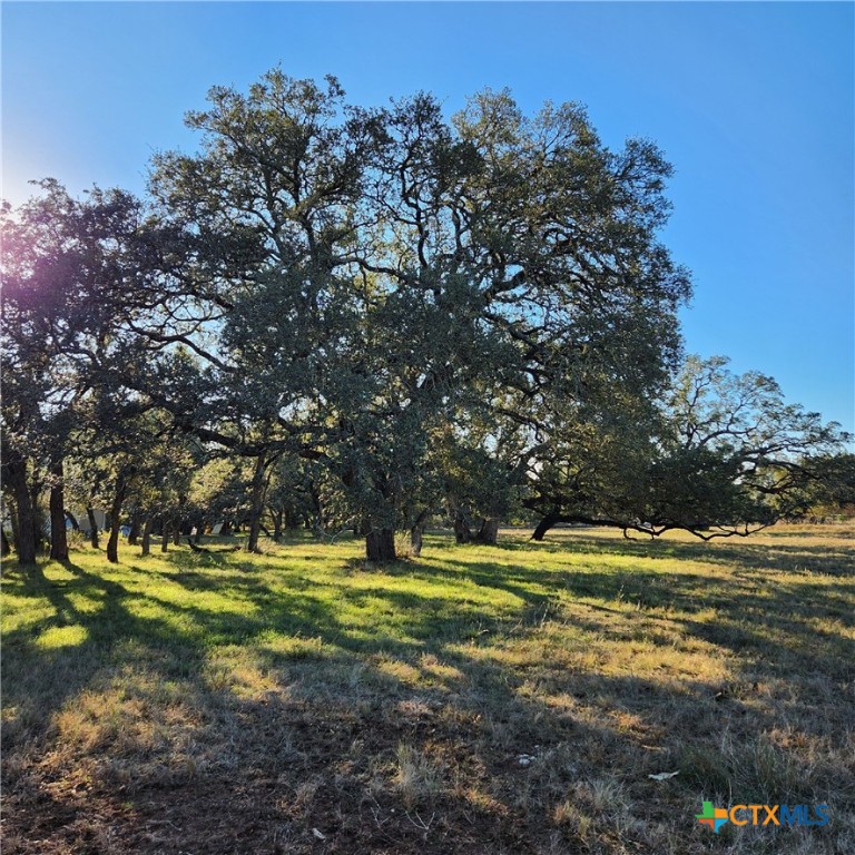 27215 Park Loop Road New Braunfels, TX 78132 - Photo 3 of 32 a view of a swimming pool with an outdoor space