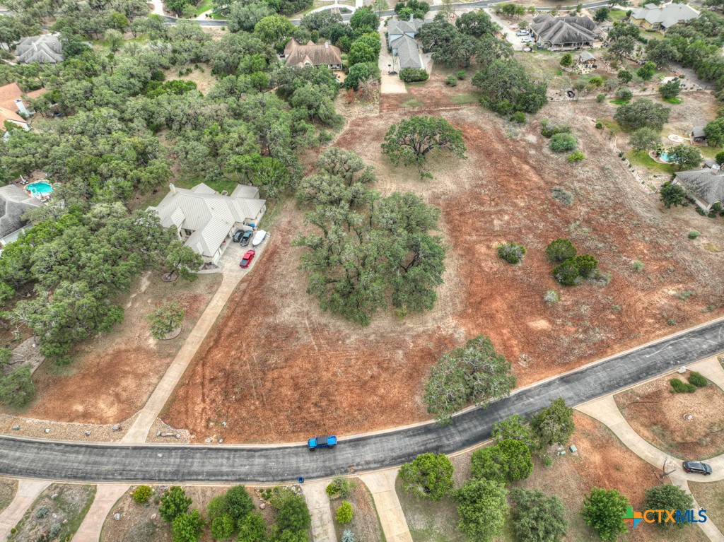 27215 Park Loop Road New Braunfels, TX 78132 - Photo 7 of 32 a view of a yard with potted plants
