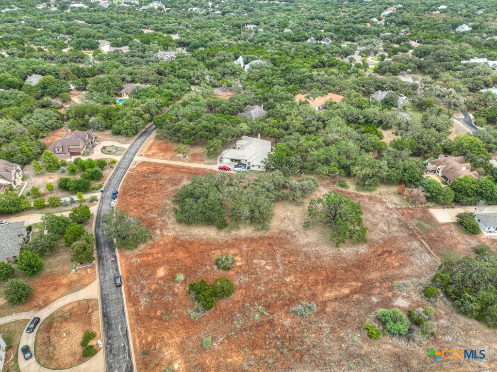 27215 Park Loop Road New Braunfels, TX 78132 - Photo 10 of 32 a view of a yard with plants