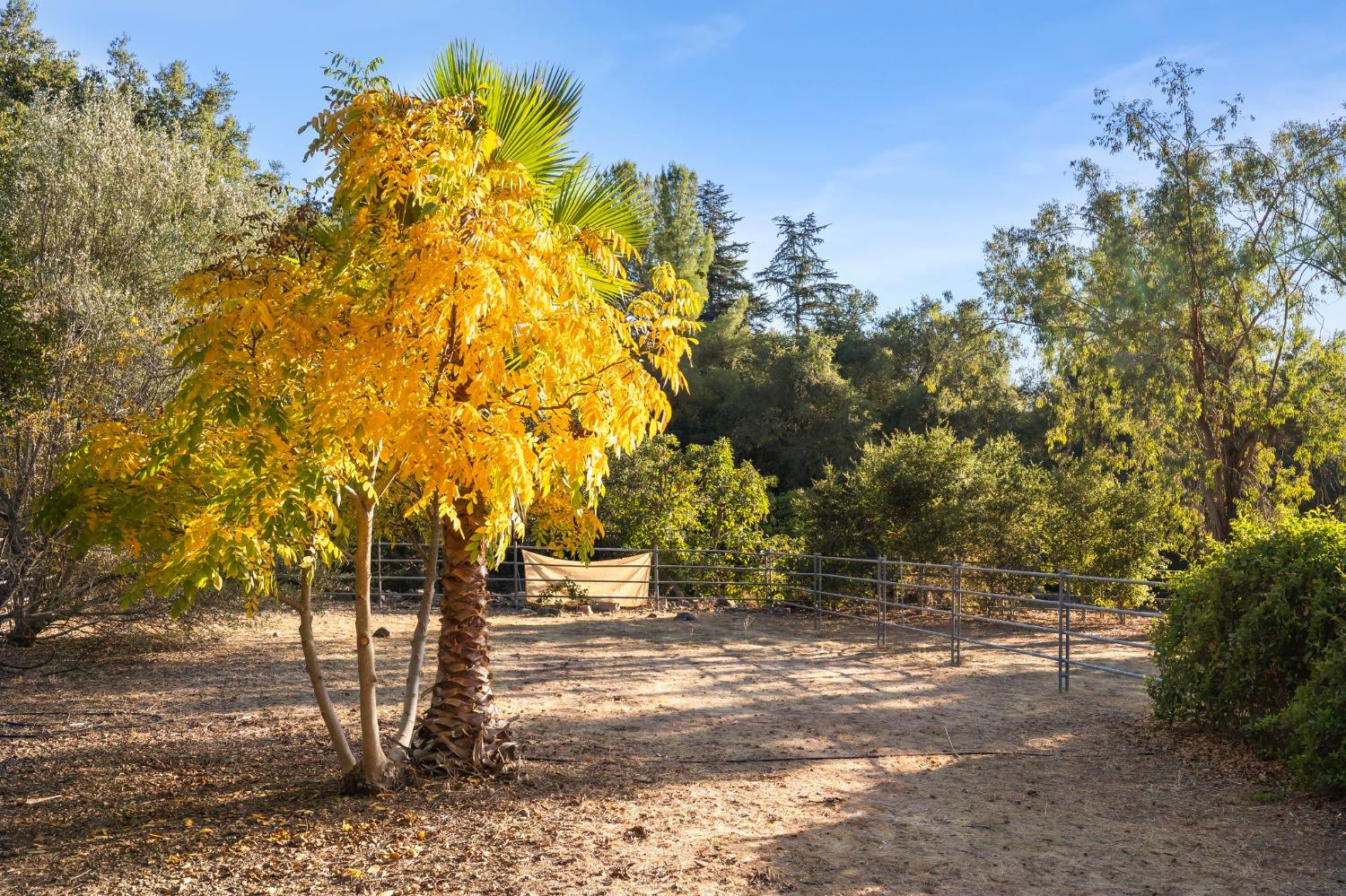 4306 Hendrickson Road Ojai, CA 93023 - Photo 15 of 44 a view of yard