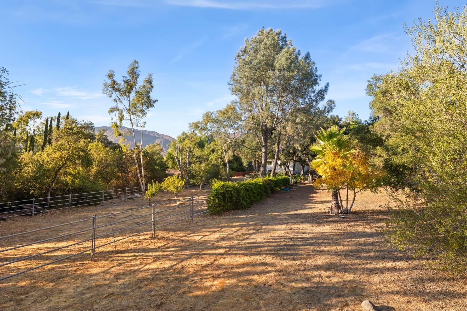 4306 Hendrickson Road Ojai, CA 93023 - Photo 2 of 44 a view of a yard
