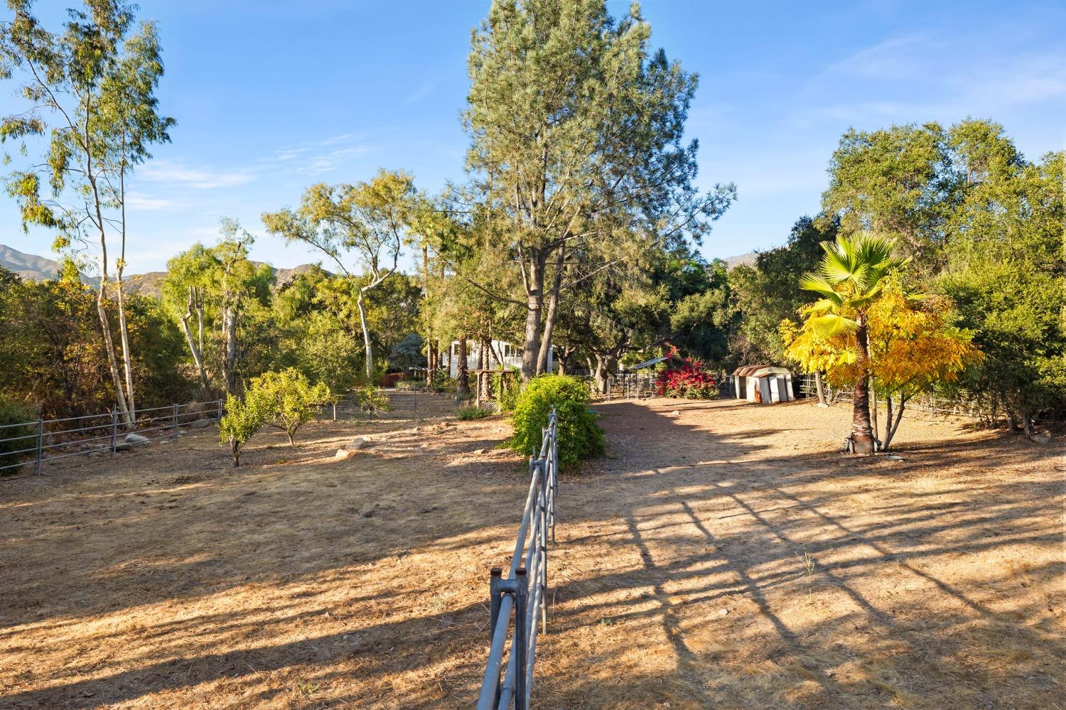 4306 Hendrickson Road Ojai, CA 93023 - Photo 43 of 44 a street view with tall trees