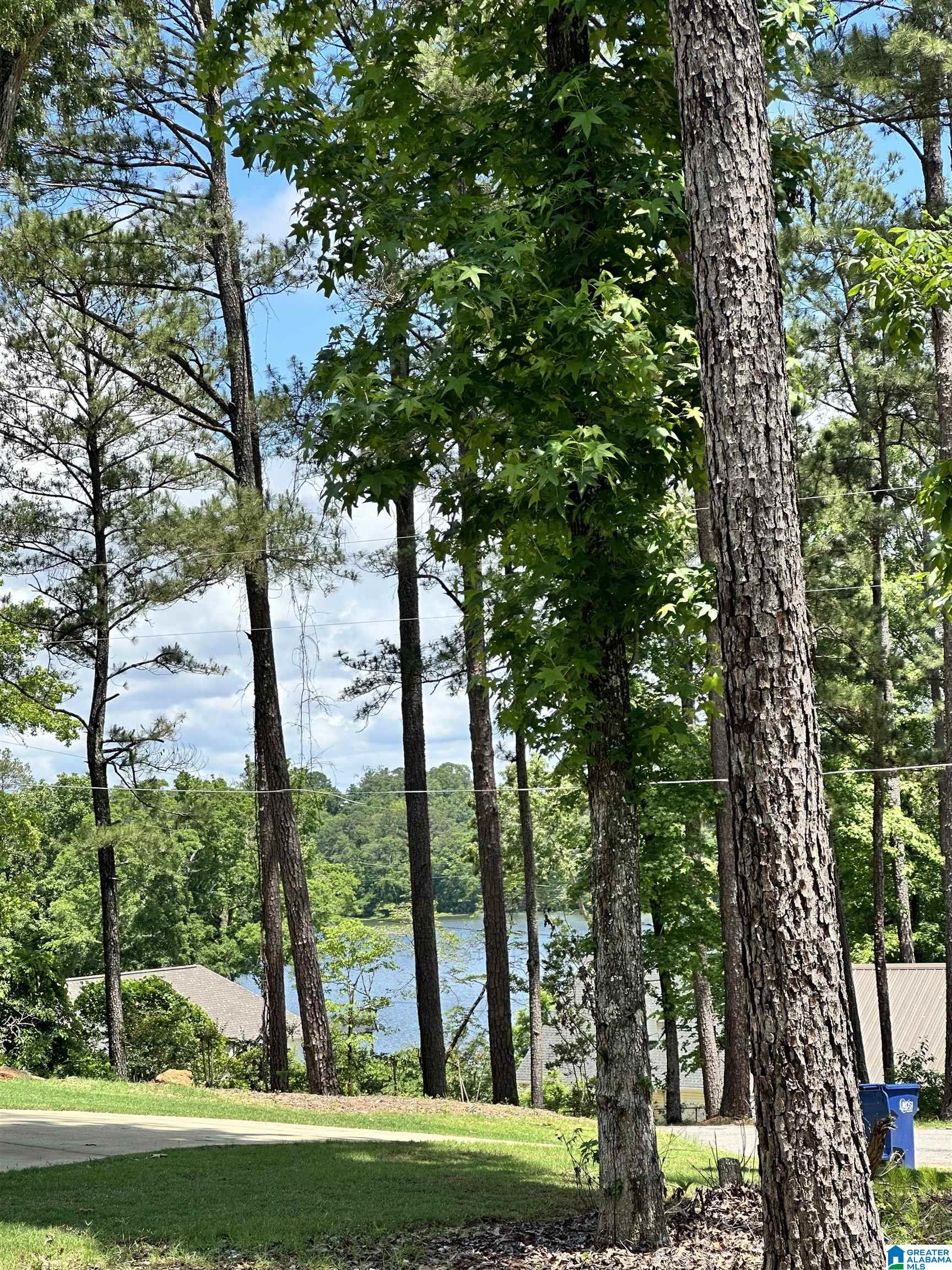 350 Black Acres Road, Unit 11 Cropwell, AL 35054 - Photo 4 of 16