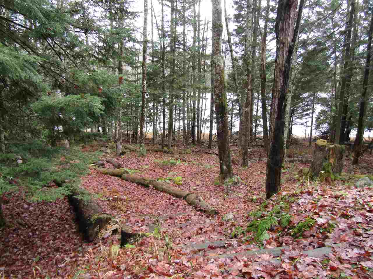 505 River Road Pittsburg, NH 03592 - Photo 4 of 21