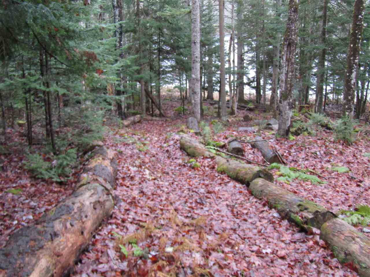 505 River Road Pittsburg, NH 03592 - Photo 6 of 21