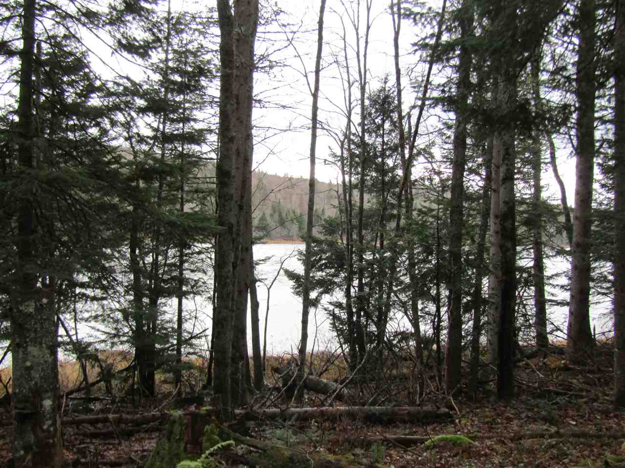 505 River Road Pittsburg, NH 03592 - Photo 7 of 21