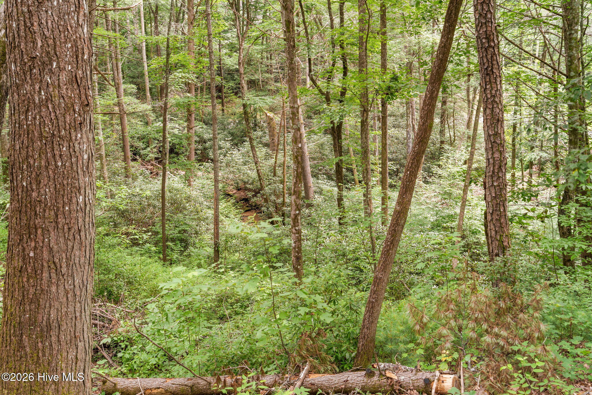 910 Laurel Branch Road Murphy, NC 28906 - Photo 18 of 58 Gallery Image 18
