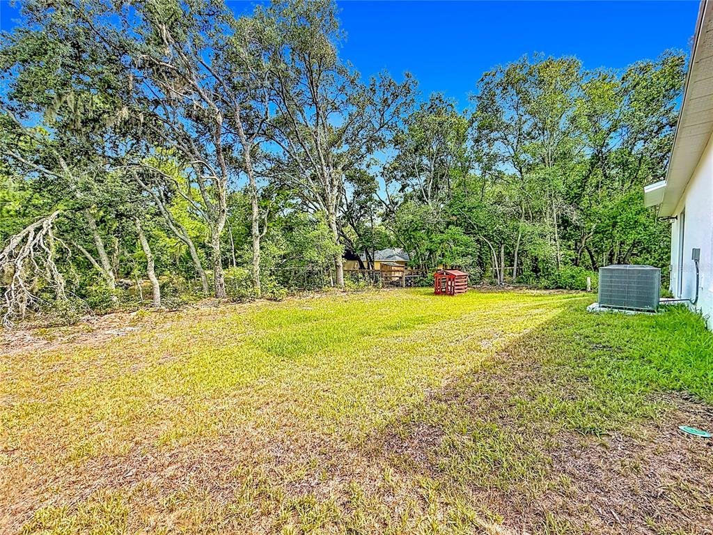 50 Bay Road Ocklawaha, FL 32179 - Photo 42 of 51