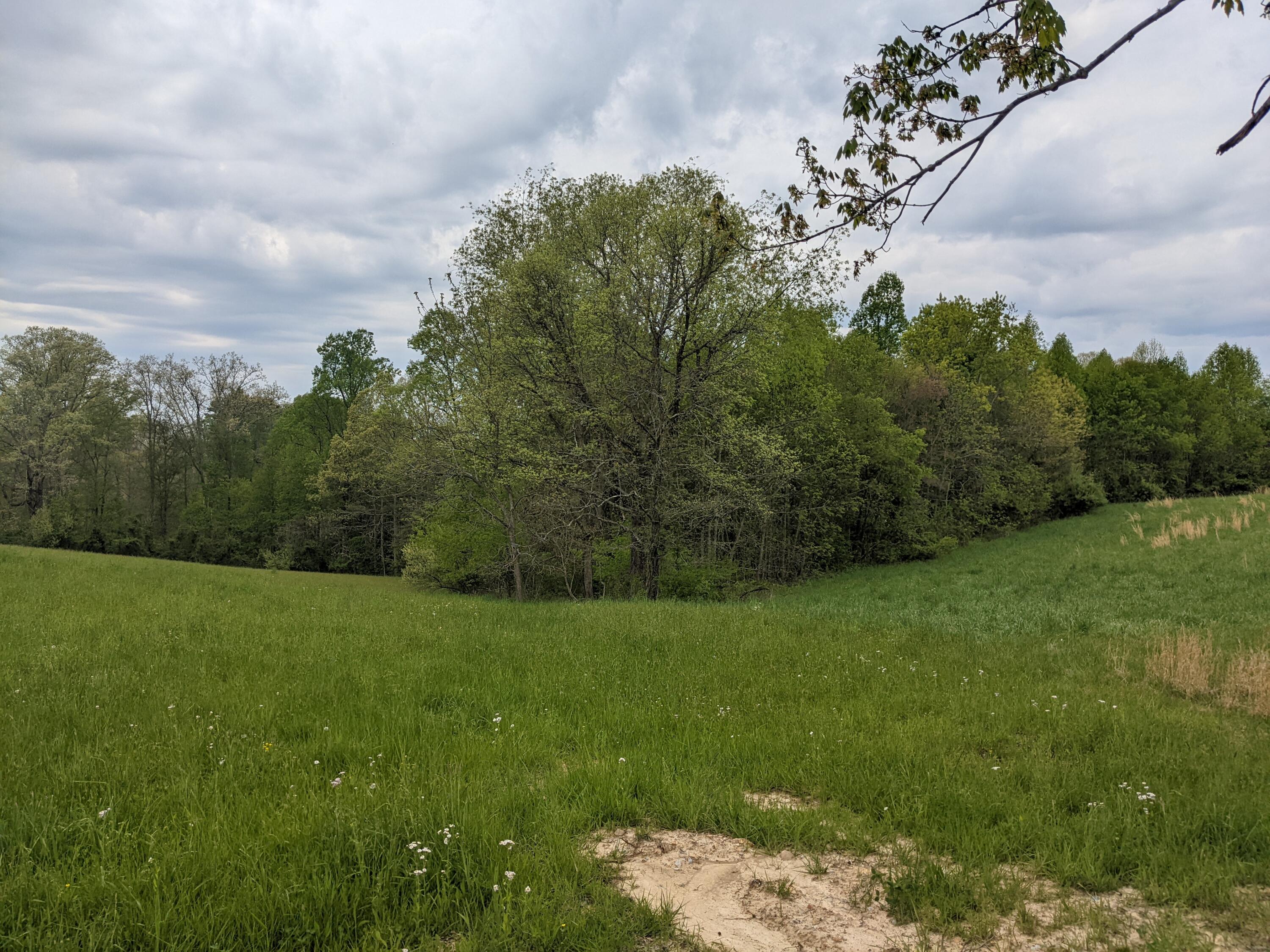 PXL_20220429_180159830 (2)