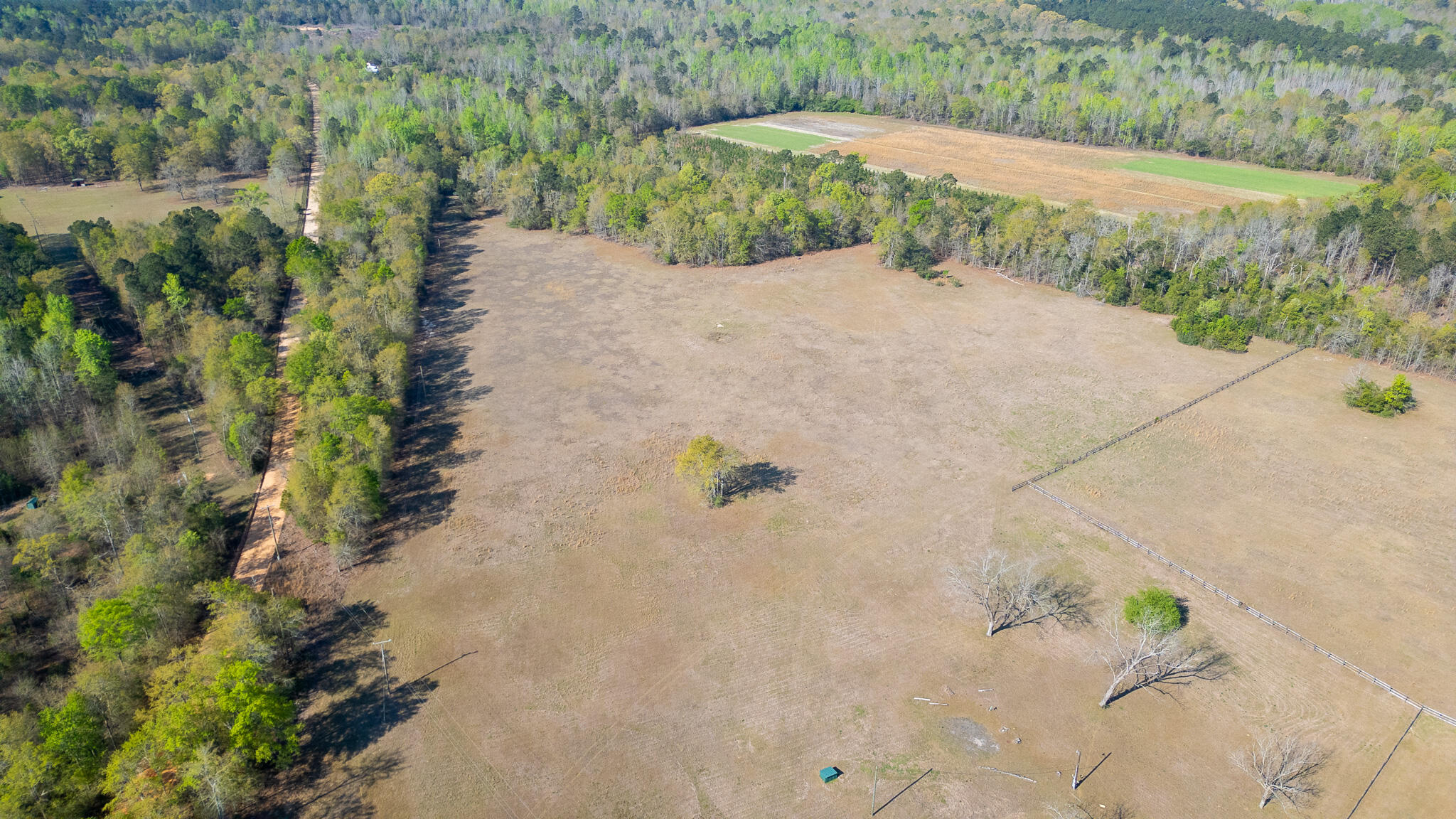 252 Moseley Road Williston, SC 29853 - Photo 64 of 64