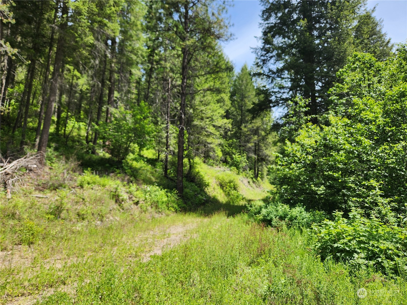-tbd Tbd Well Creek Road Inchelium, WA 99138 - Photo 1 of 15 Gallery Image 1