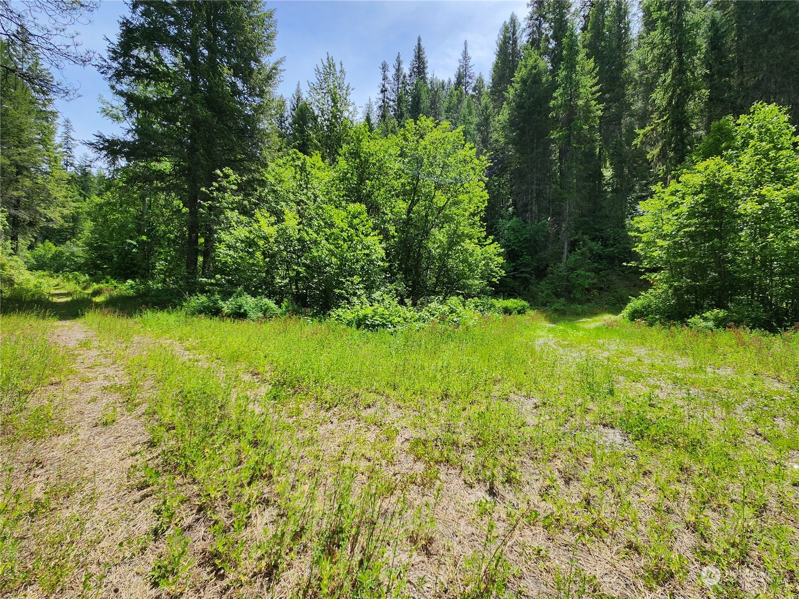 -tbd Tbd Well Creek Road Inchelium, WA 99138 - Photo 11 of 15 Gallery Image 11