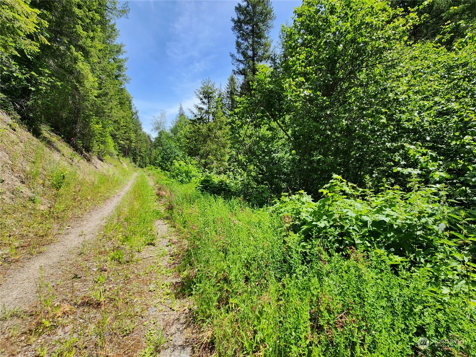 -tbd Tbd Well Creek Road Inchelium, WA 99138 - Photo 13 of 15 Gallery Image 13