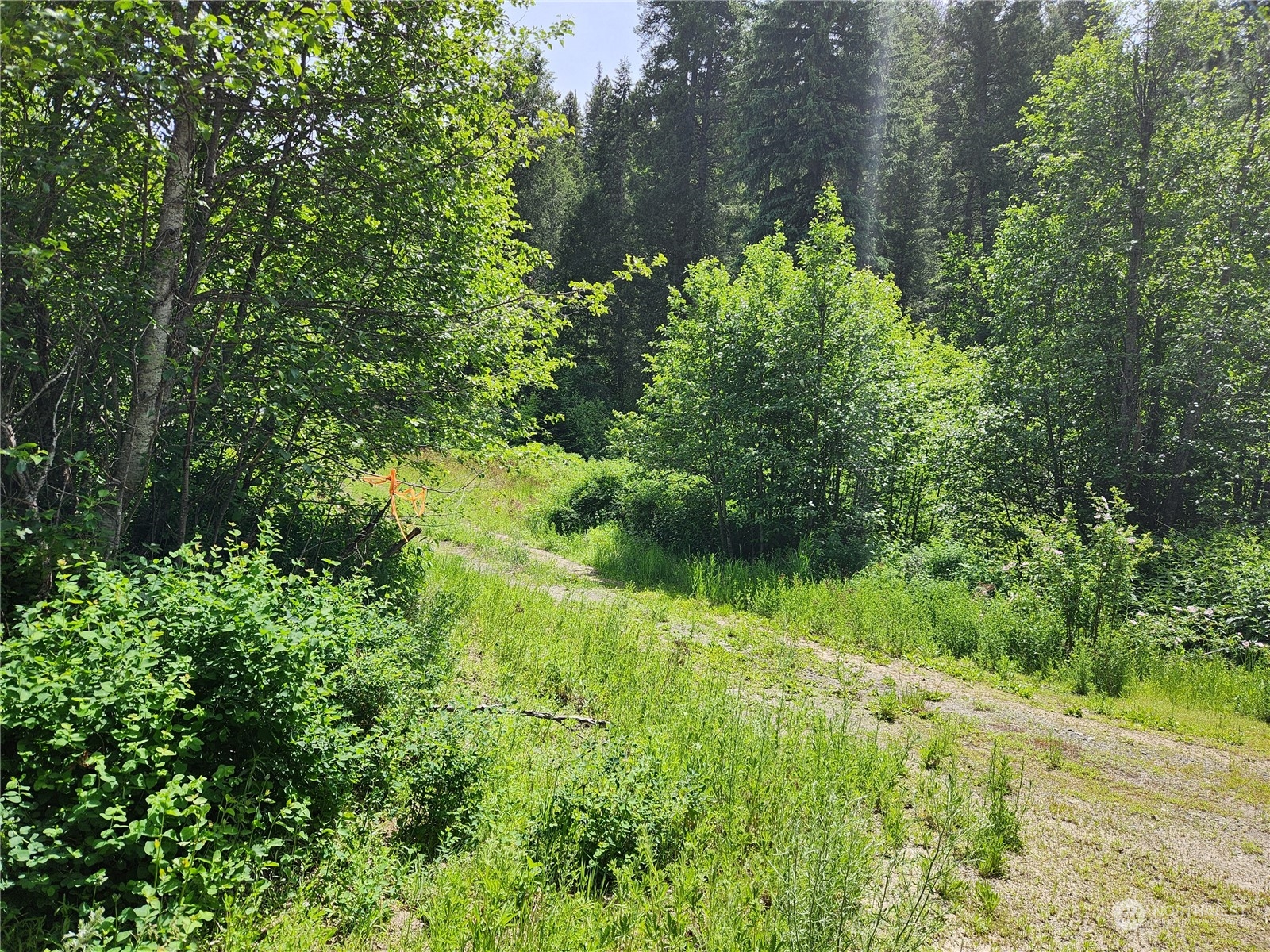 -tbd Tbd Well Creek Road Inchelium, WA 99138 - Photo 3 of 15 Gallery Image 3