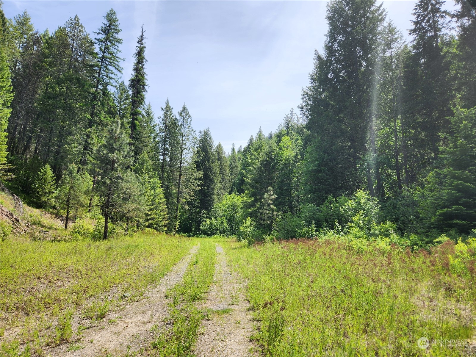-tbd Tbd Well Creek Road Inchelium, WA 99138 - Photo 7 of 15 Gallery Image 7