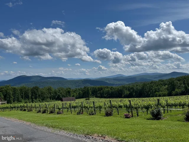 $449,000 | 215 Buck Road, Linden, VA 22642