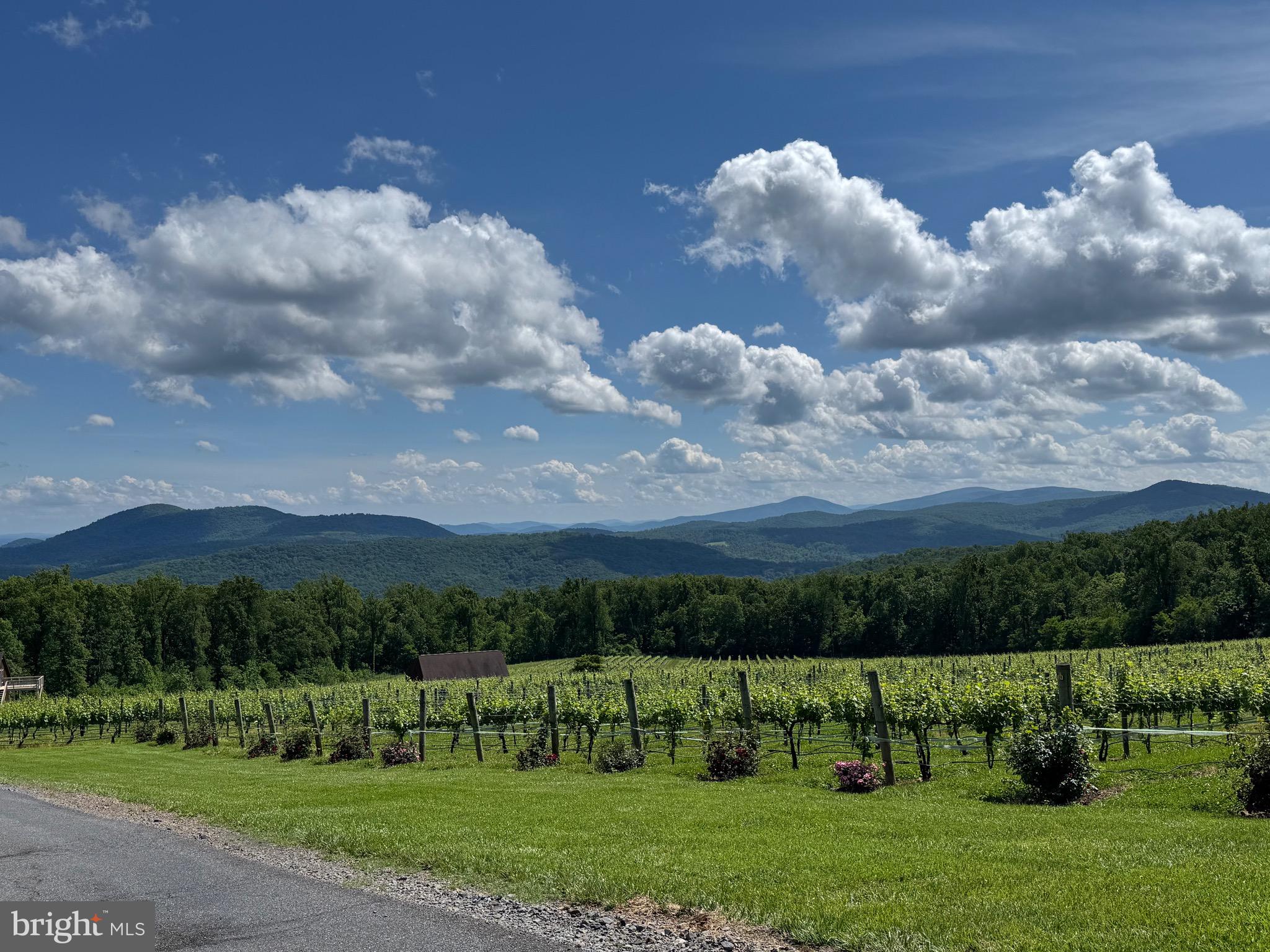 215 Buck Road Linden, VA 22642 - Photo 42 of 44