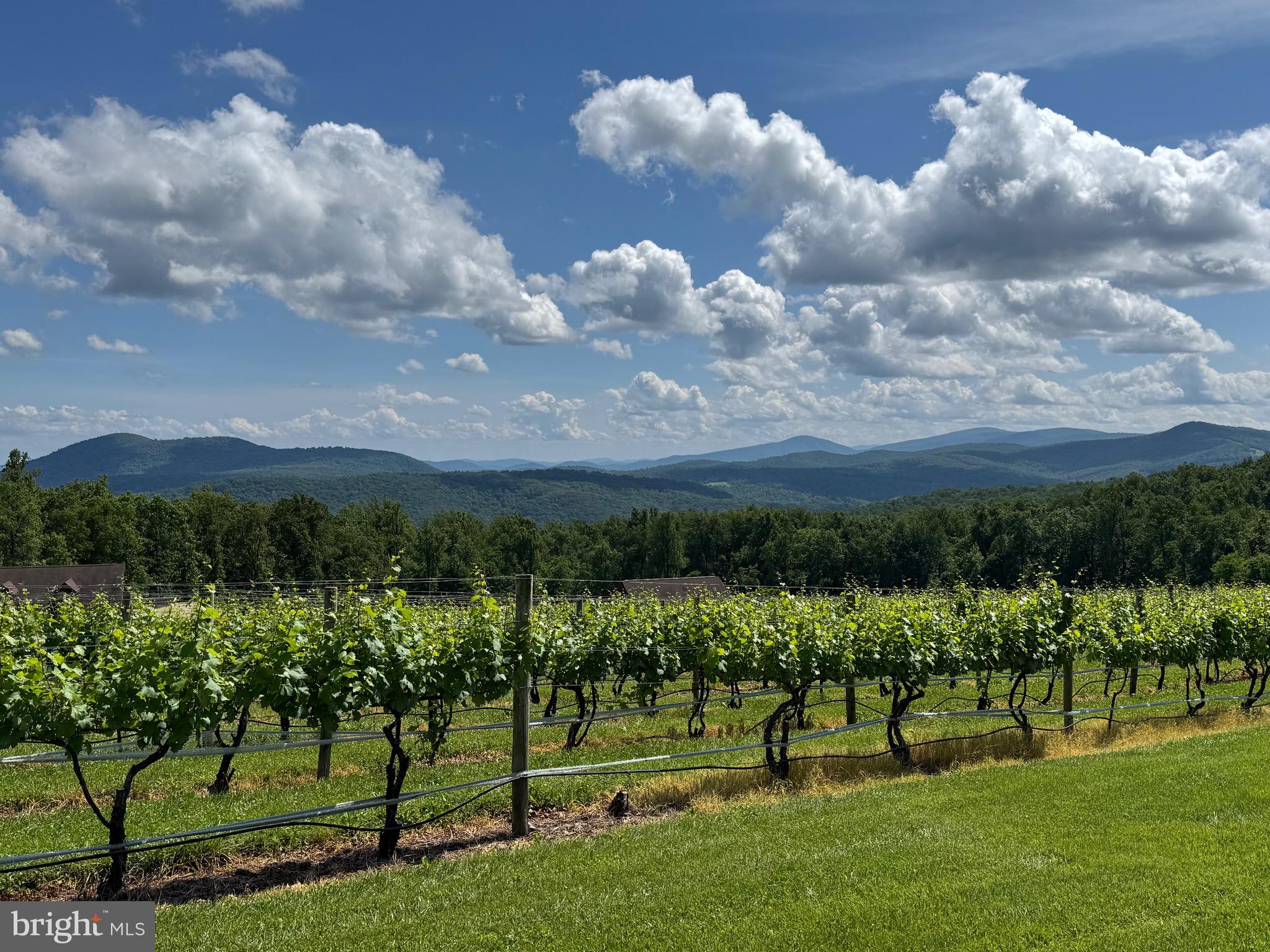 215 Buck Road Linden, VA 22642 - Photo 43 of 44