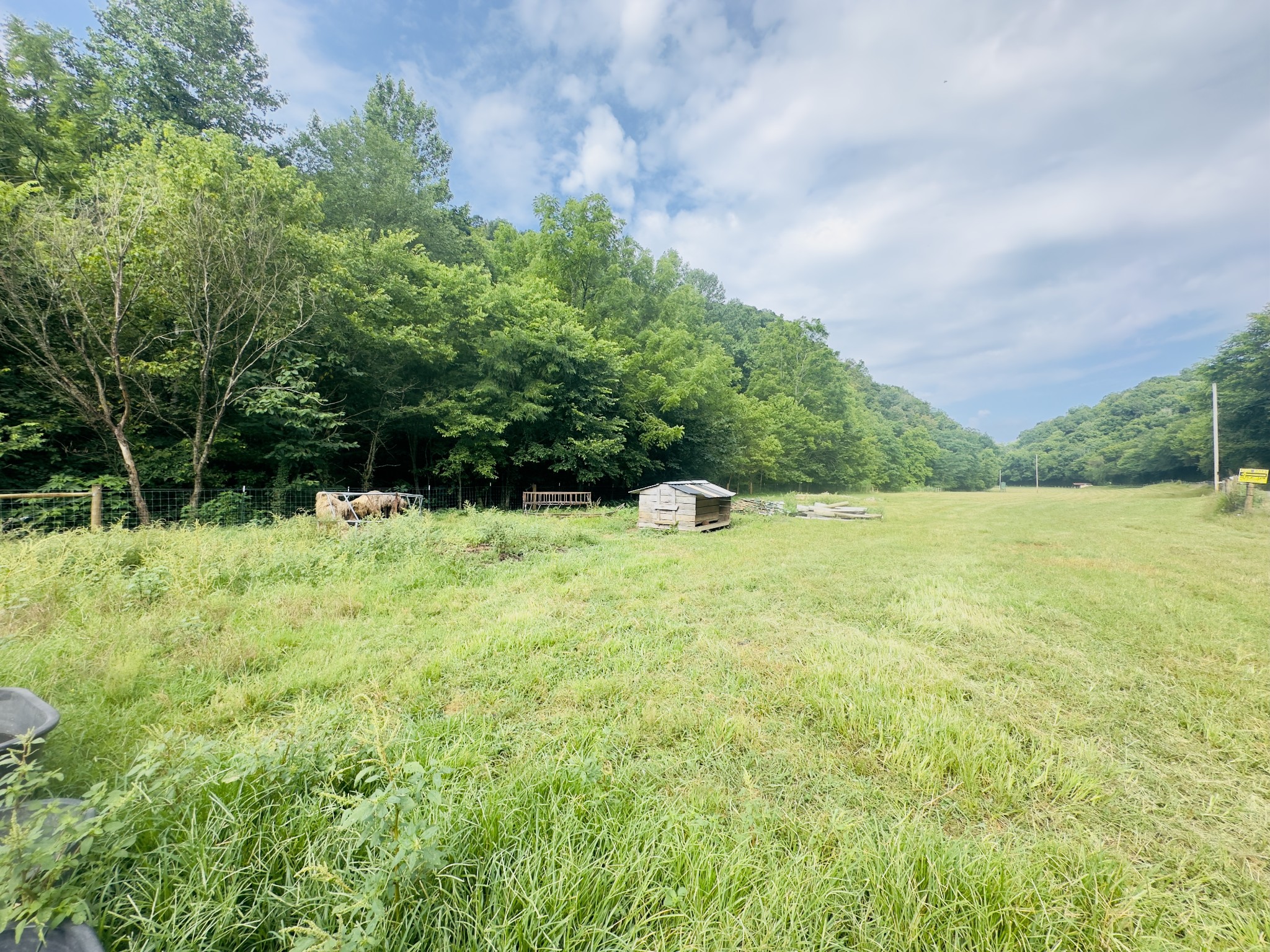 1611 Knob Creek Road Celina, TN 38551 - Photo 25 of 48