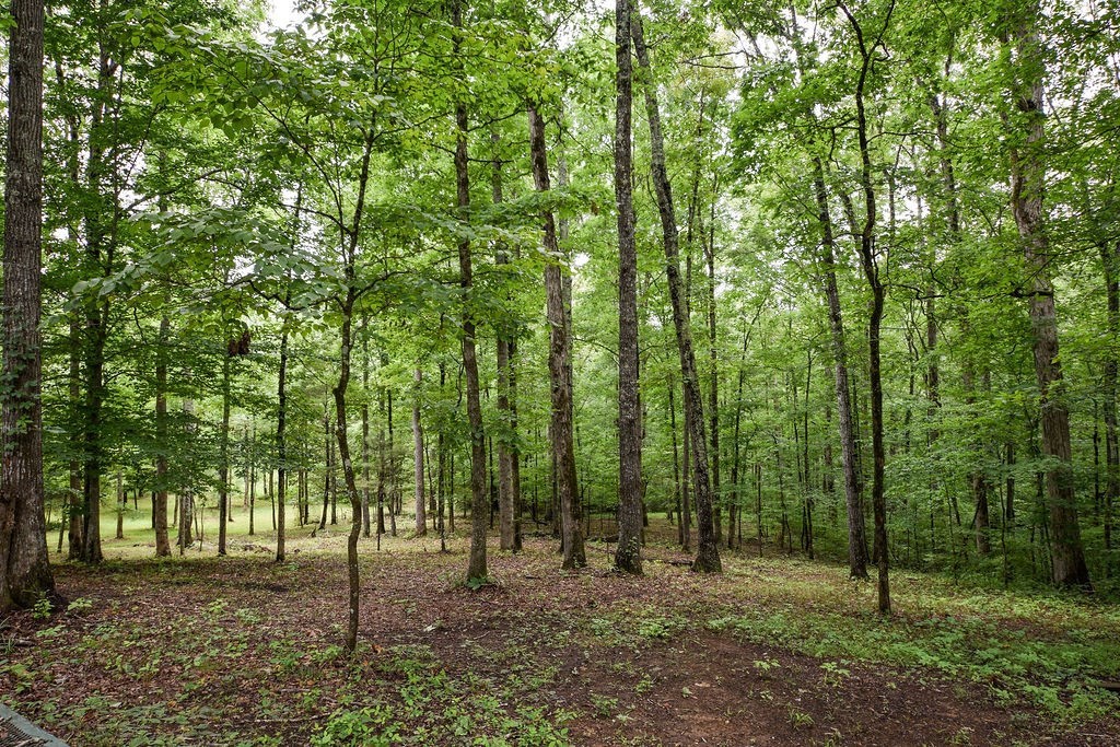 3980 49th Street Cleveland, TN 37312 - Photo 42 of 45 Gallery Image 42