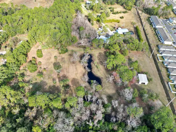 a view of a yard with plants