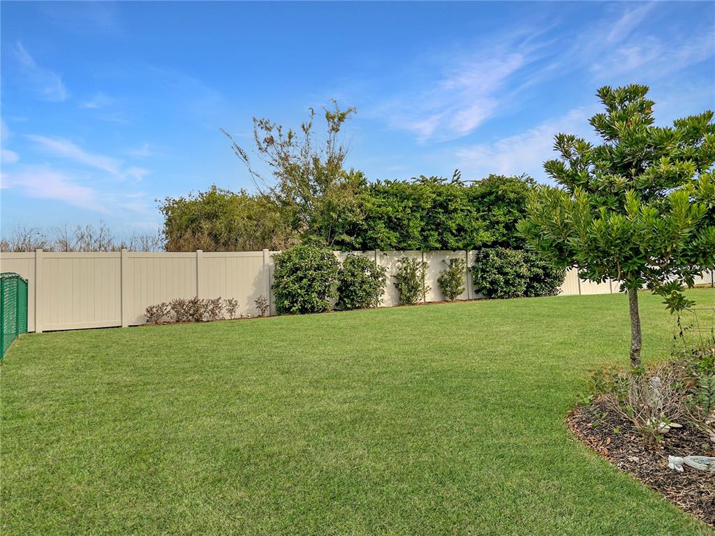 6265 Southwest 88th Loop Ocala, FL 34476 - Photo 36 of 42 a view of a backyard