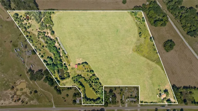 a bathroom with a shower and a plant
