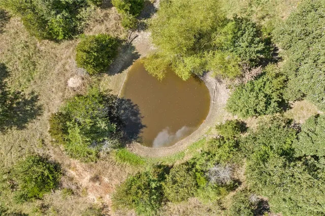 a view of a lake with a tree