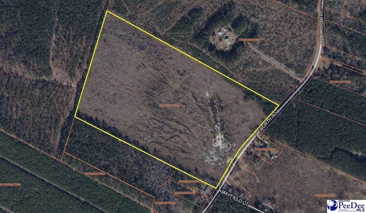 Tbd Tbd Foxworth Road Marion, SC 29571 - Photo 1 of 1 Gallery Image 1