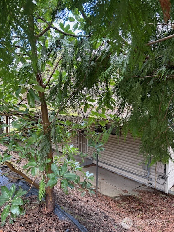 2816 Southwest Dakota Street Seattle, WA 98126 - Photo 3 of 6