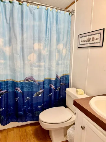 a bathroom with a toilet a sink and a shower curtain