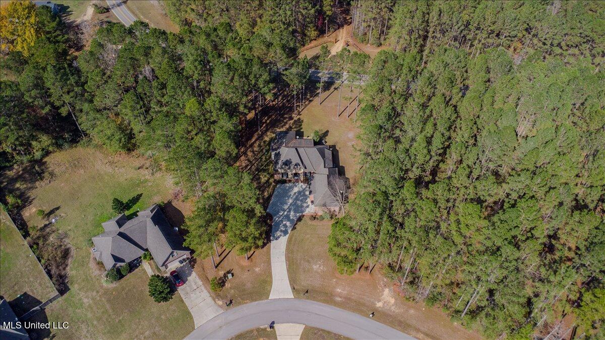 10 Magnolia Crossing Road Sumrall, MS 39482 - Photo 37 of 41 Aerial 2
