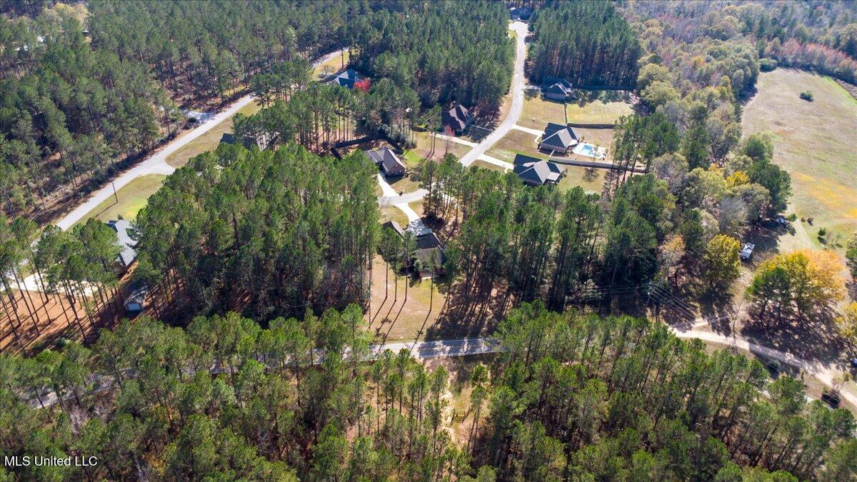 10 Magnolia Crossing Road Sumrall, MS 39482 - Photo 39 of 41 Aerial 4