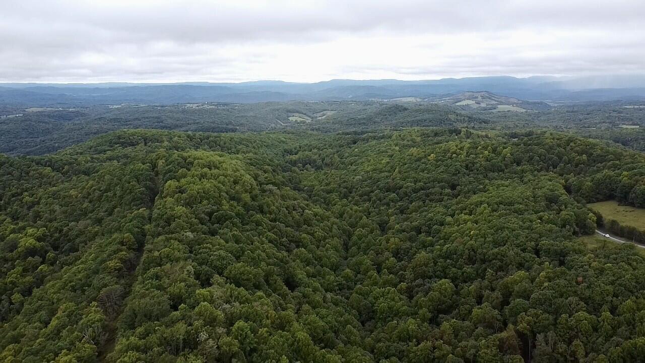 Sarton-wayside Rd Wayside Wv 24985 Union, WV 24983 - Photo 3 of 15 Gallery Image 3