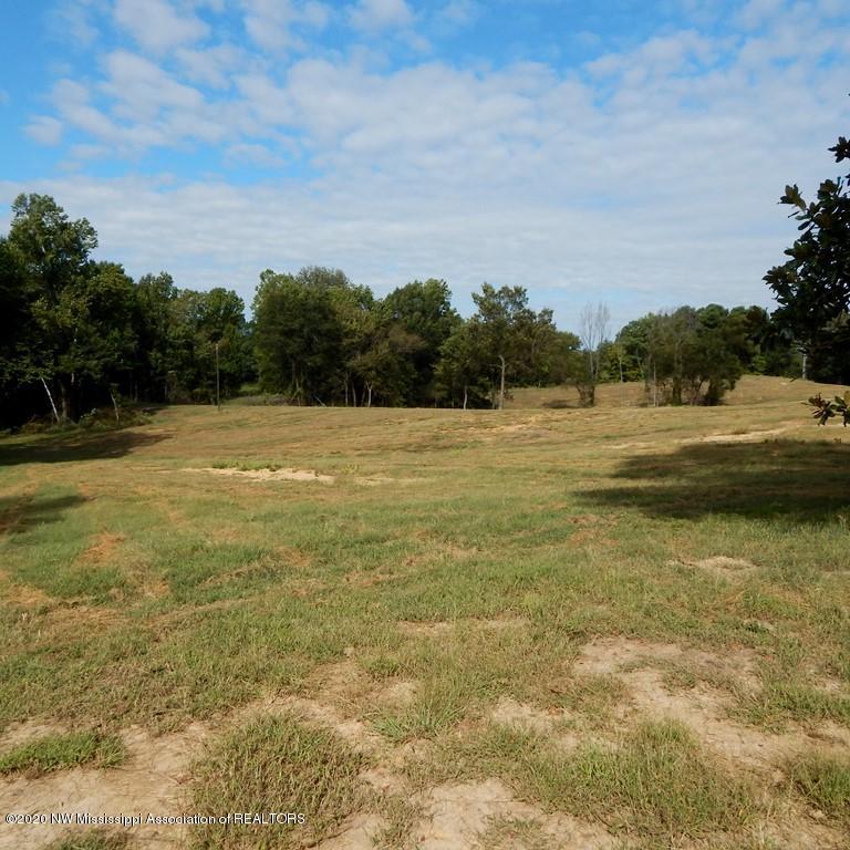 1231 Rader Creek Road Sarah, MS 38665 - Photo 15 of 31 Gallery Image 15