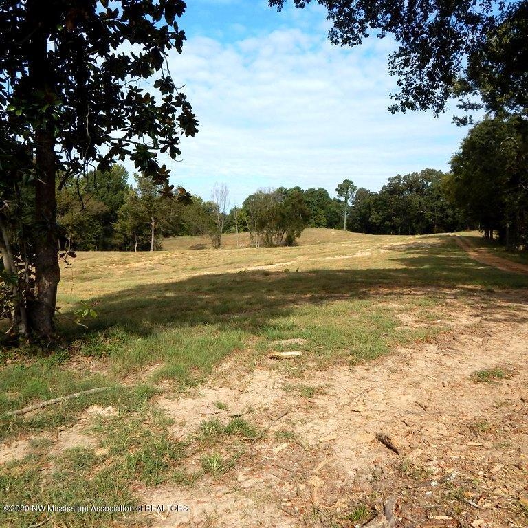1231 Rader Creek Road Sarah, MS 38665 - Photo 16 of 31 Gallery Image 16