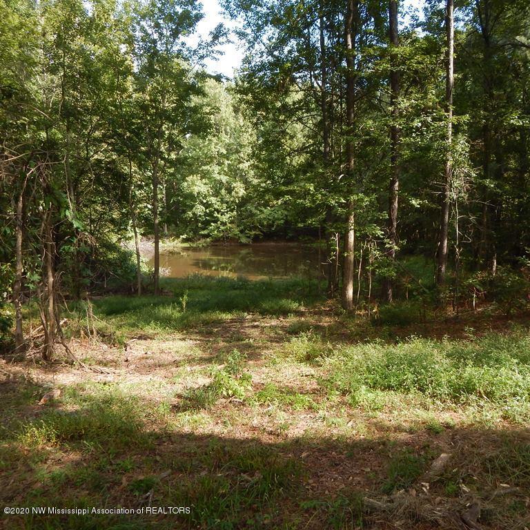 1231 Rader Creek Road Sarah, MS 38665 - Photo 18 of 31 Gallery Image 18