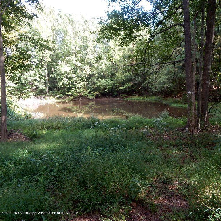 1231 Rader Creek Road Sarah, MS 38665 - Photo 19 of 31 Gallery Image 19